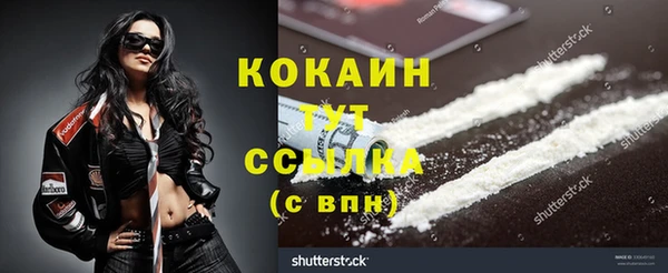 спайс Арсеньев