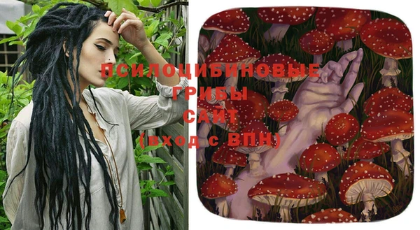 прущие крисы Слюдянка